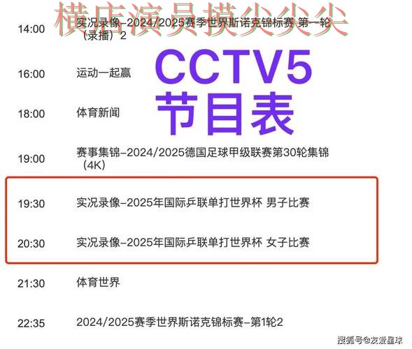 世界杯买球平台官网直达直播怎么看？揭秘给你答案（世界杯直播）